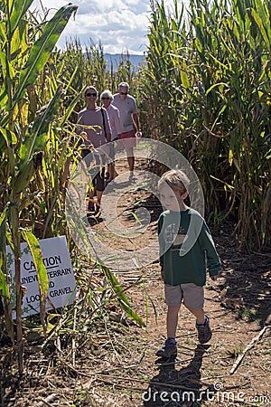 Family Exiting a Corn Maze Editorial Stock Photo